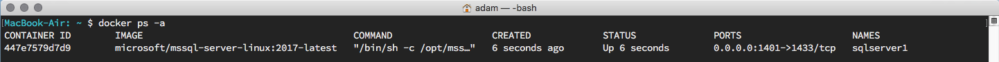 The Docker application running in the terminal and displaying information about running containers